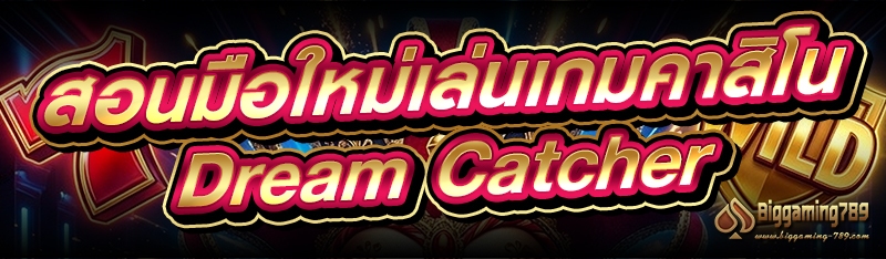 สอนมือใหม่เล่นเกมคาสิโน Dream Catcher
