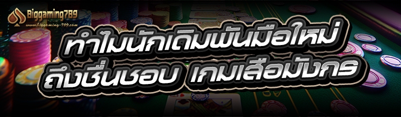 ทำไมนักเดิมพันมือใหม่ถึงชื่นชอบ เกมเสือมังกร