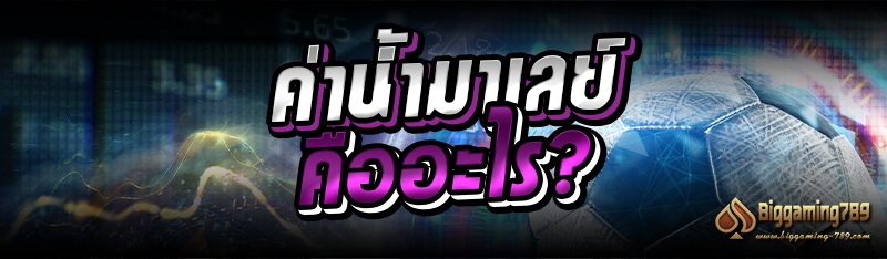 ค่าน้ำมาเลย์ คืออะไร?